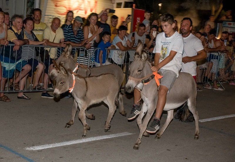 Traditional donkey race